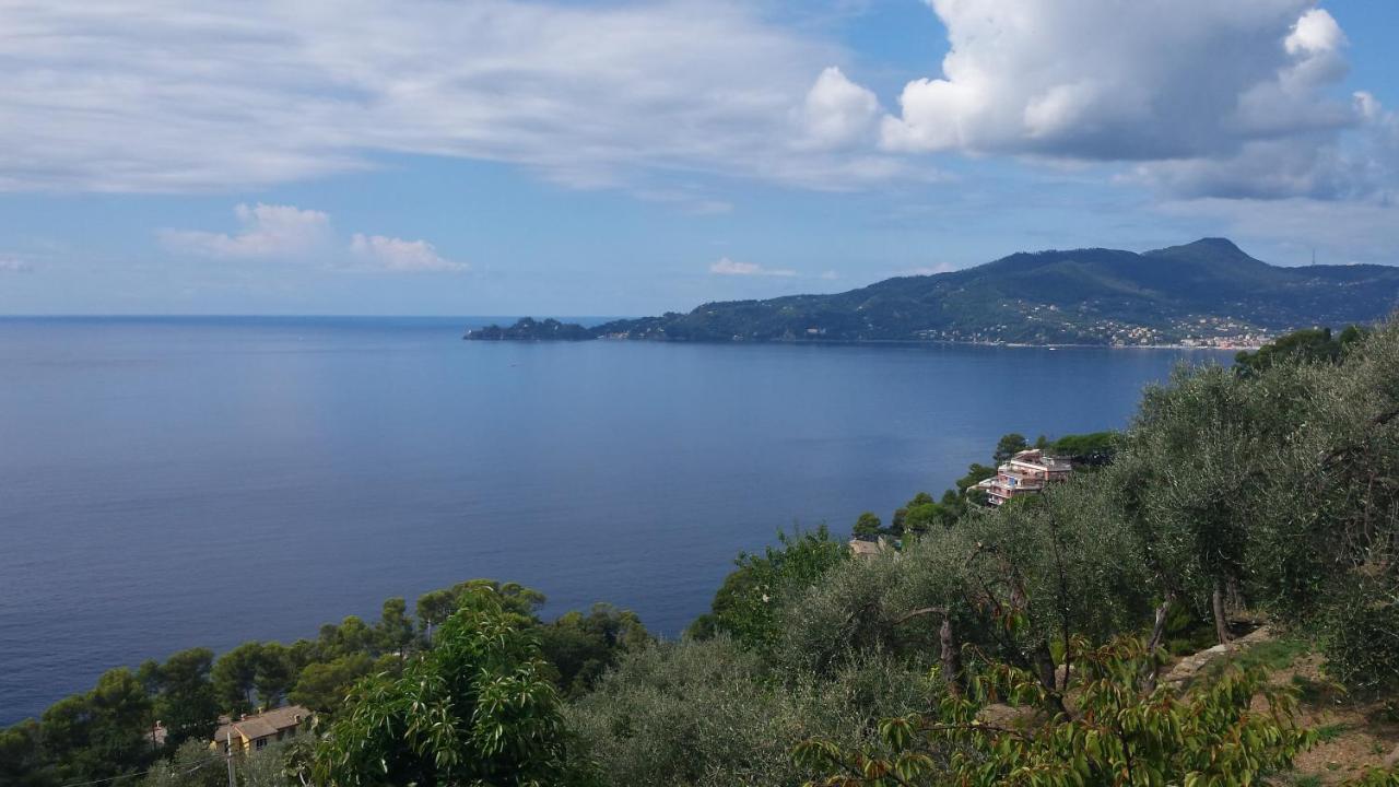 Mare E Vista Portofino - Sea And Portofino View Zoagli Exterior photo